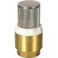 Brass Spring Check Valve with Brass/Plastic Core (YD-3002)